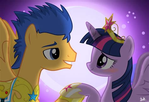 my little pony flash sentry|does flash sentry like twilight.